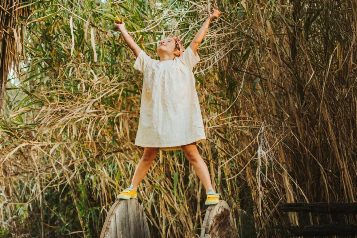 Cotinga