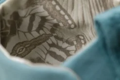 Pegasus Resouled