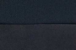 Risaik blueberry