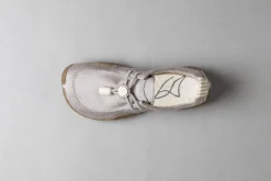 Tengri